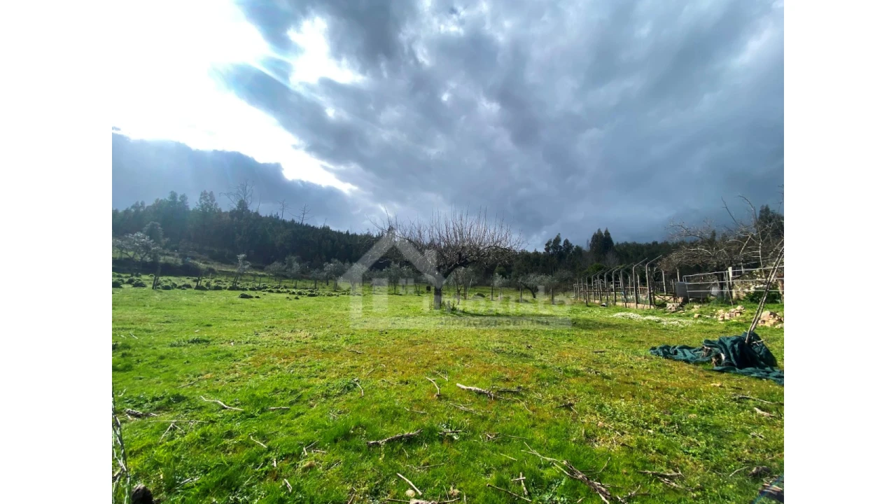 Moradia T4 para Venda em Figueiró dos Vinhos e Bairradas Foto 14