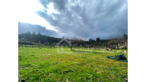 Moradia T4 para Venda em Figueiró dos Vinhos e Bairradas