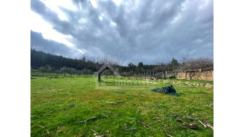 Moradia T4 para Venda em Figueiró dos Vinhos e Bairradas