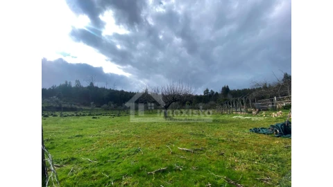 Moradia T4 para Venda em Figueiró dos Vinhos e Bairradas