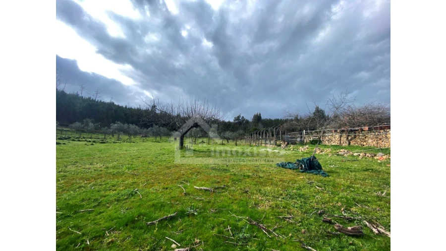 Moradia T4 para Venda em Figueiró dos Vinhos e Bairradas Foto 15