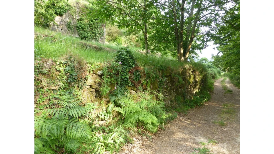 Moradia T0 para Venda em Prado e Remoães Foto 3