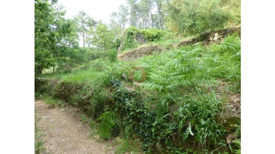 Moradia T0 para Venda em Prado e Remoães