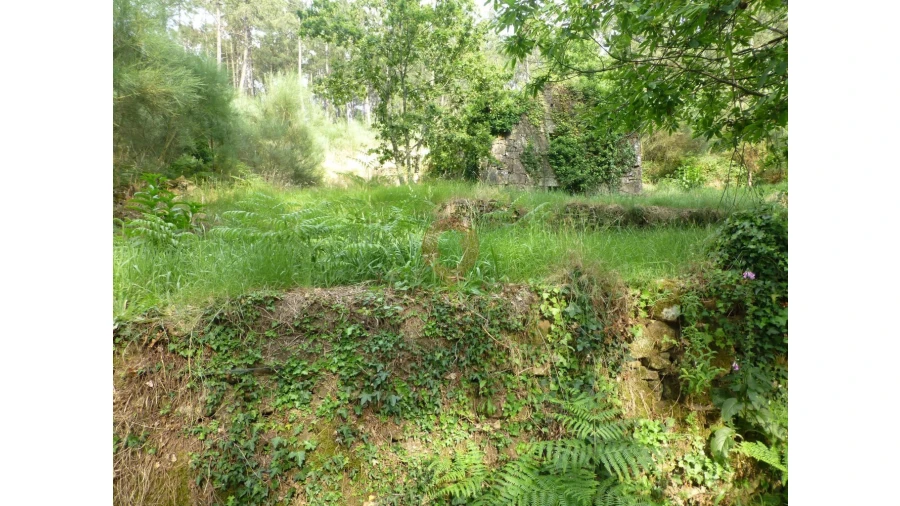 Moradia T0 para Venda em Prado e Remoães Foto 2