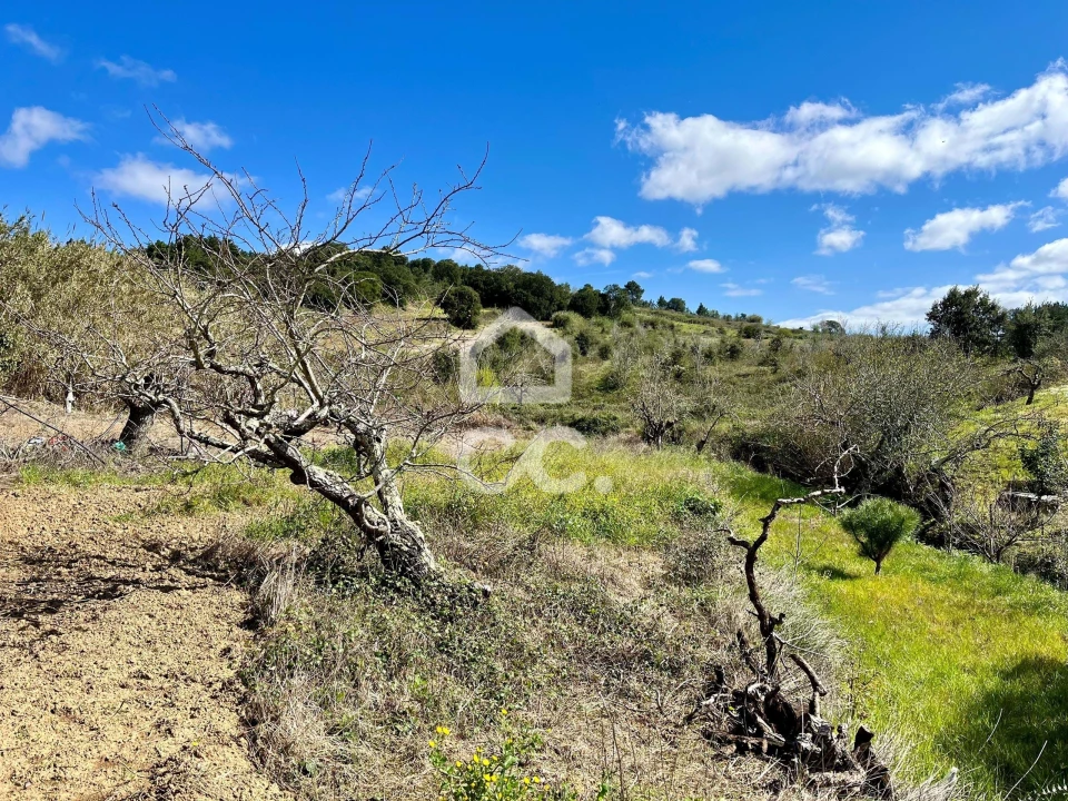 Terreno para Venda em Carvalhal Foto 17