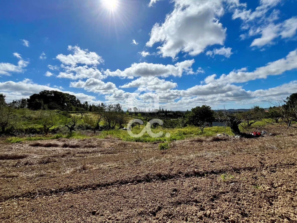 Terreno para Venda em Carvalhal Foto 10