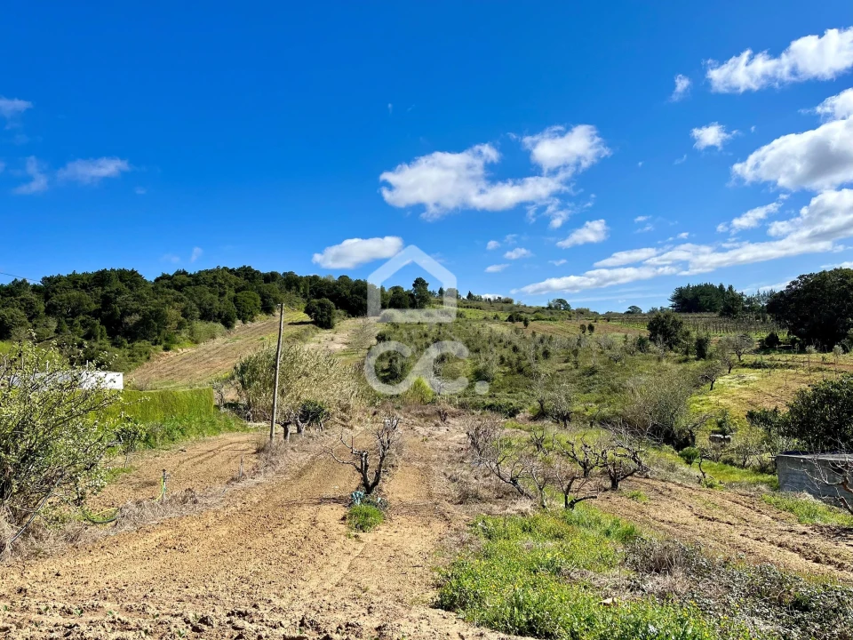 Terreno para Venda em Carvalhal Foto 21