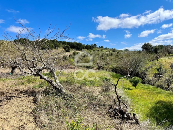 Terreno para Venda em Carvalhal Foto 18