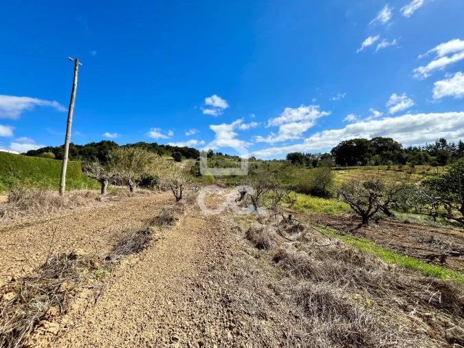 Terreno para Venda em Carvalhal Foto 5