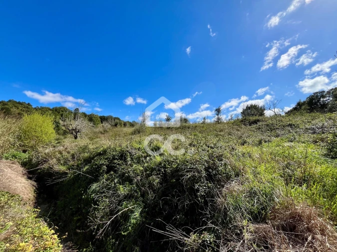 Terreno para Venda em Carvalhal Foto 12