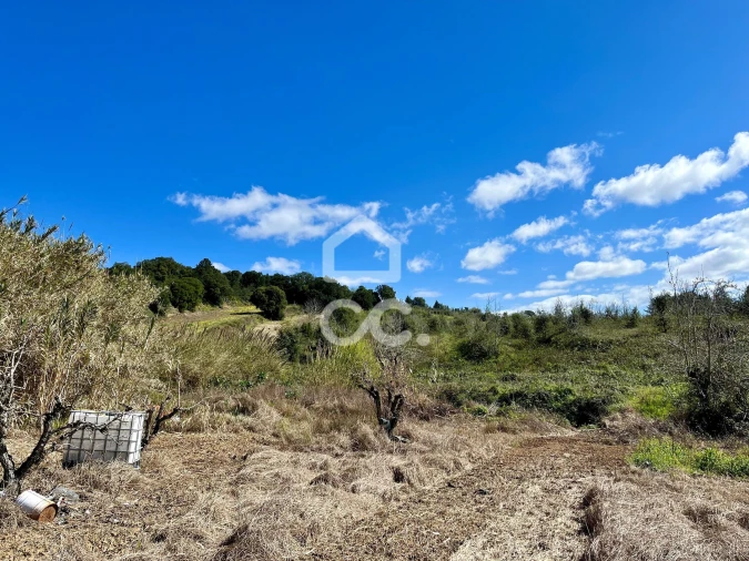 Terreno para Venda em Carvalhal Foto 14