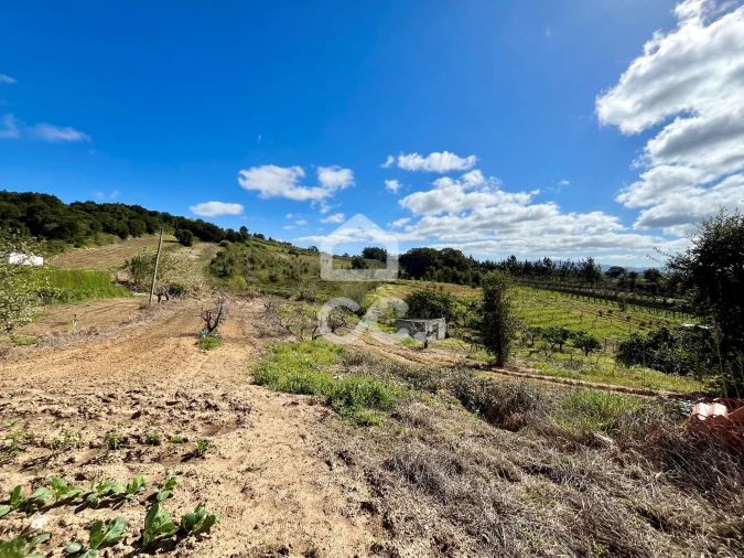 Terreno para Venda em Carvalhal Foto 22