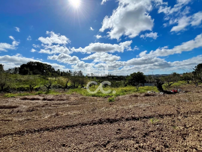 Terreno para Venda em Carvalhal Foto 10