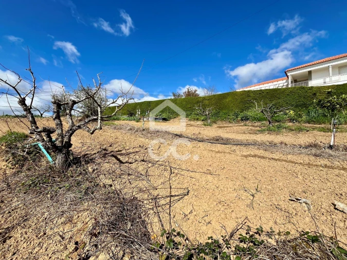 Terreno para Venda em Carvalhal Foto 7