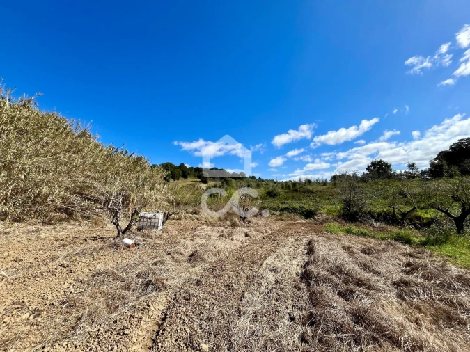 Terreno para Venda em Carvalhal Foto 15