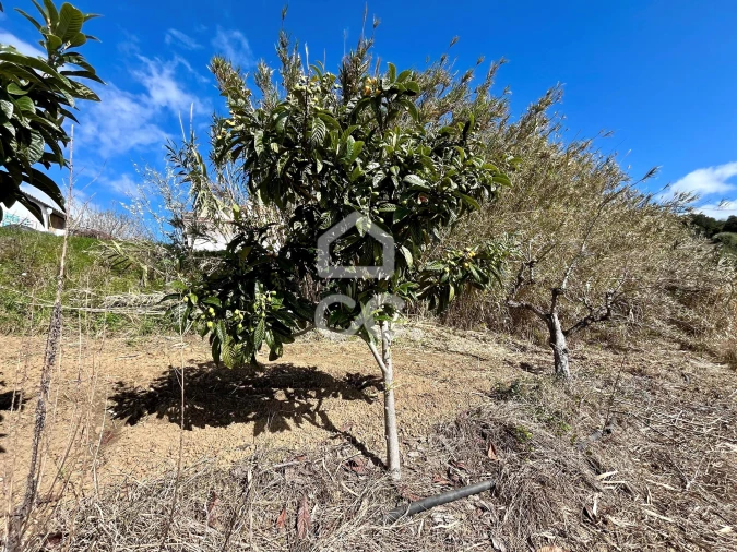 Terreno para Venda em Carvalhal Foto 8