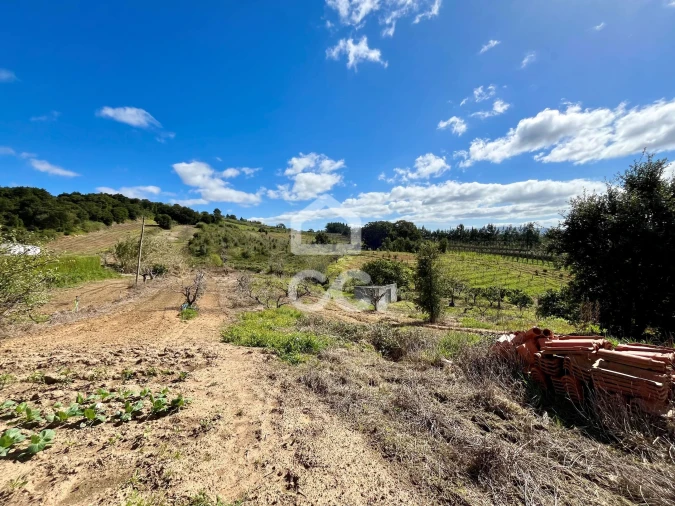 Terreno para Venda em Carvalhal Foto 2