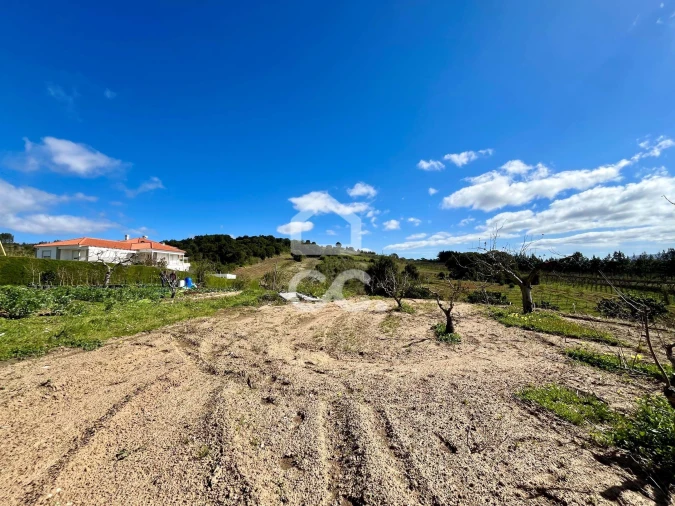 Terreno para Venda em Carvalhal Foto 19