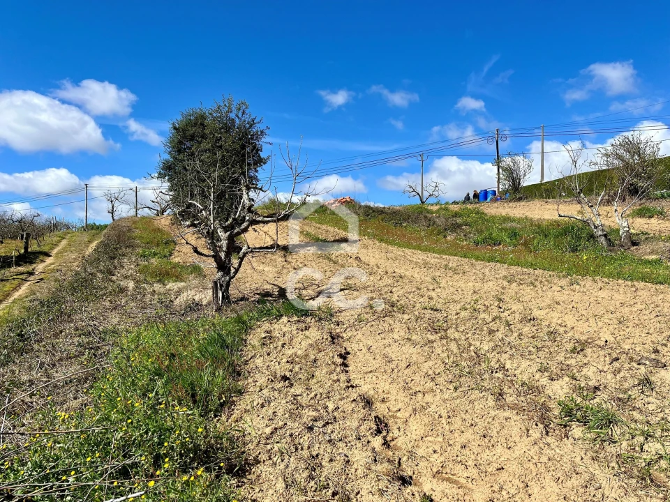 Terreno para Venda em Carvalhal Foto 16