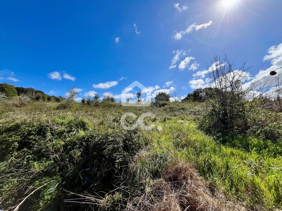 Terreno para Venda em Carvalhal Foto 11