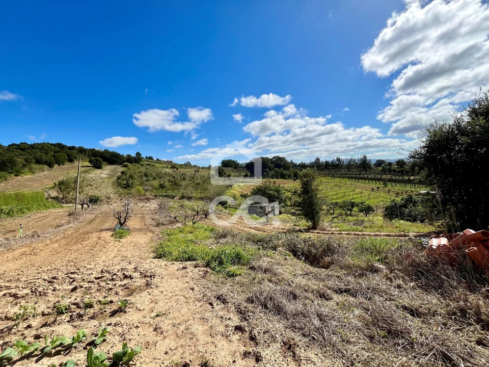 Terreno para Venda em Carvalhal Foto 23