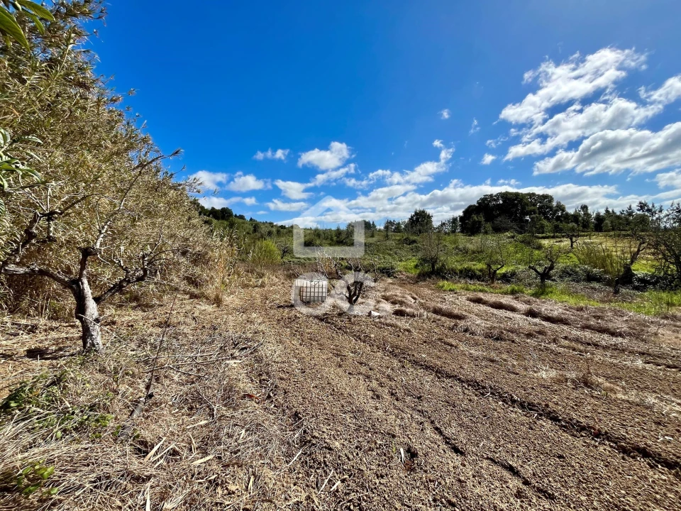 Terreno para Venda em Carvalhal Foto 9