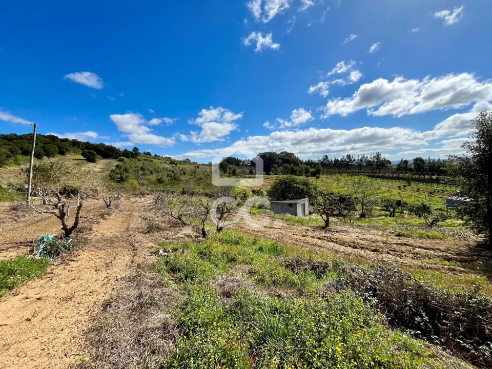 Terreno para Venda em Carvalhal Foto 3
