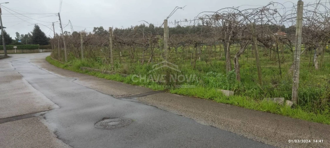 Terreno Misto para Venda em Oiã Foto 5