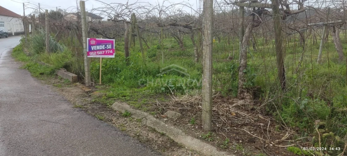Terreno Misto para Venda em Oiã Foto 8