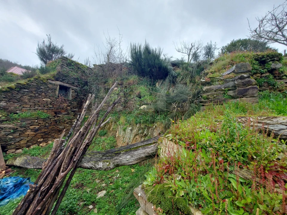 Moradia T1 para Venda em Benfeita Foto 6