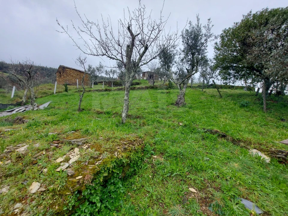 Moradia T1 para Venda em Benfeita Foto 2