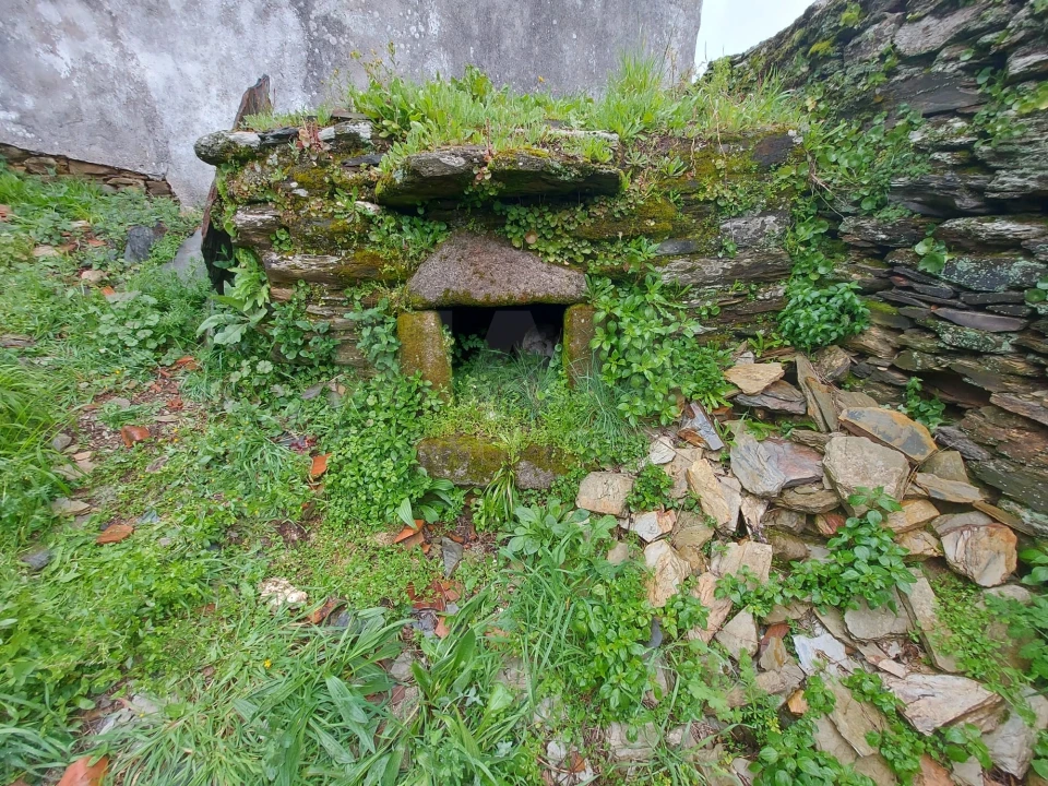 Moradia T1 para Venda em Benfeita Foto 8