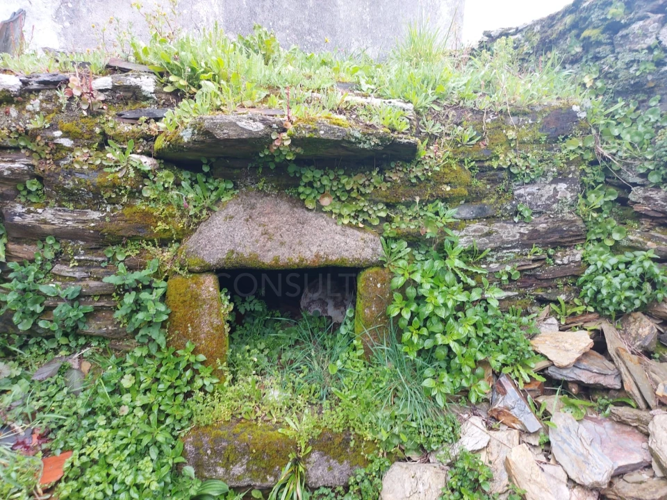 Moradia T1 para Venda em Benfeita Foto 4