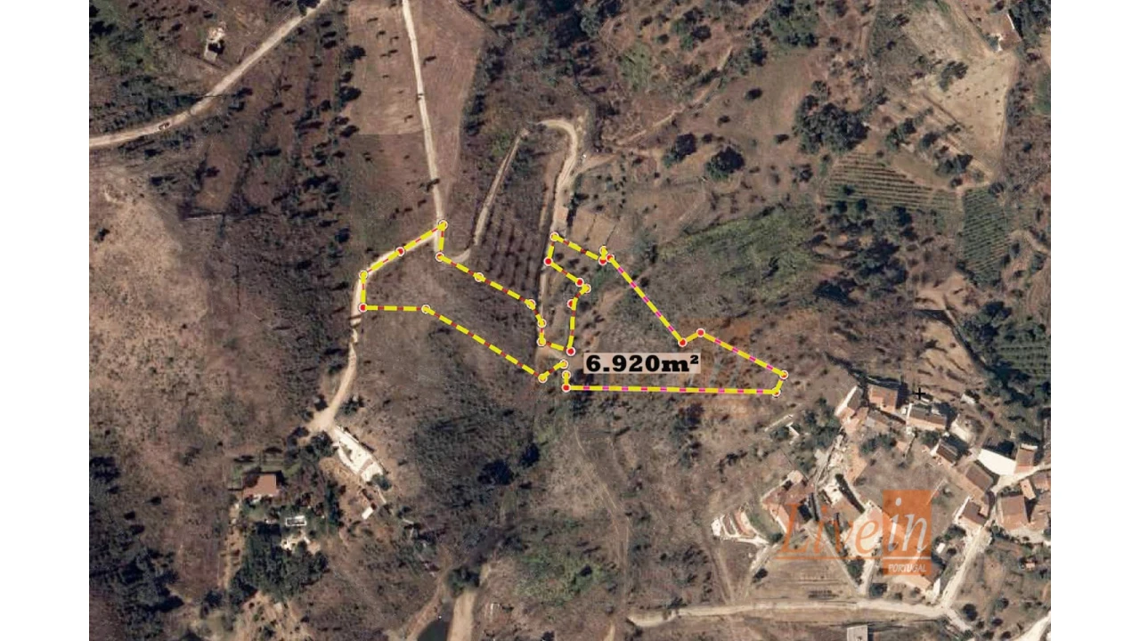 Terreno Agricola ou Rústico para Venda em Serra e Junceira Foto 4