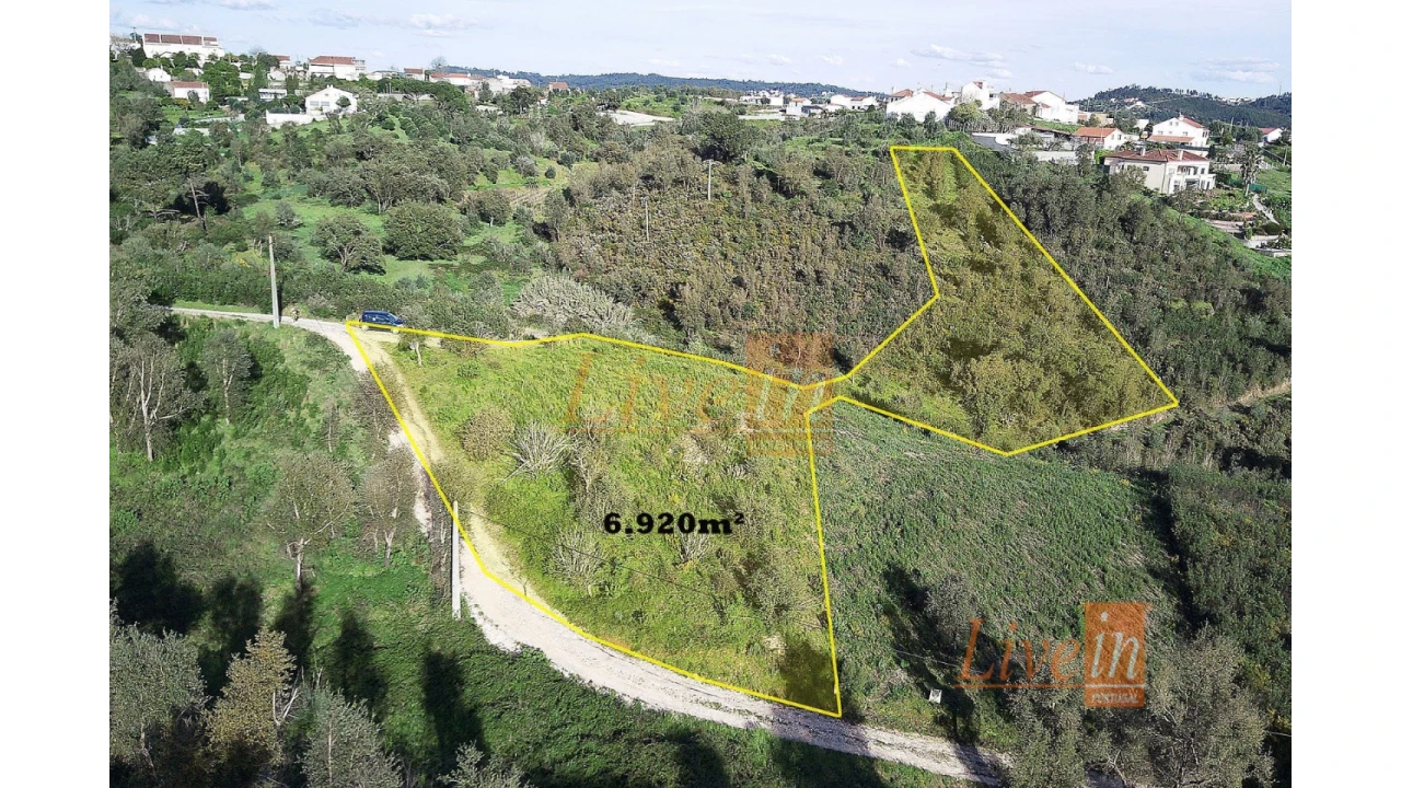 Terreno Agricola ou Rústico para Venda em Serra e Junceira Foto 1