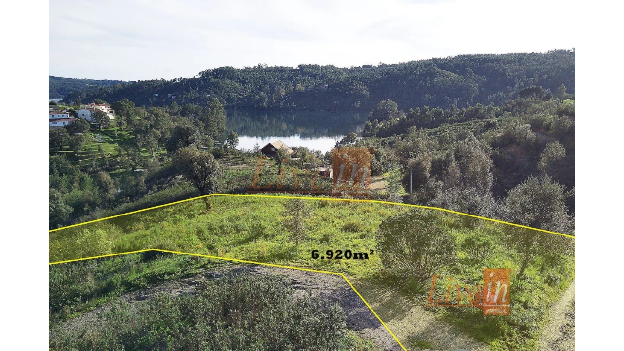 Terreno Agricola ou Rústico para Venda em Serra e Junceira Foto 2
