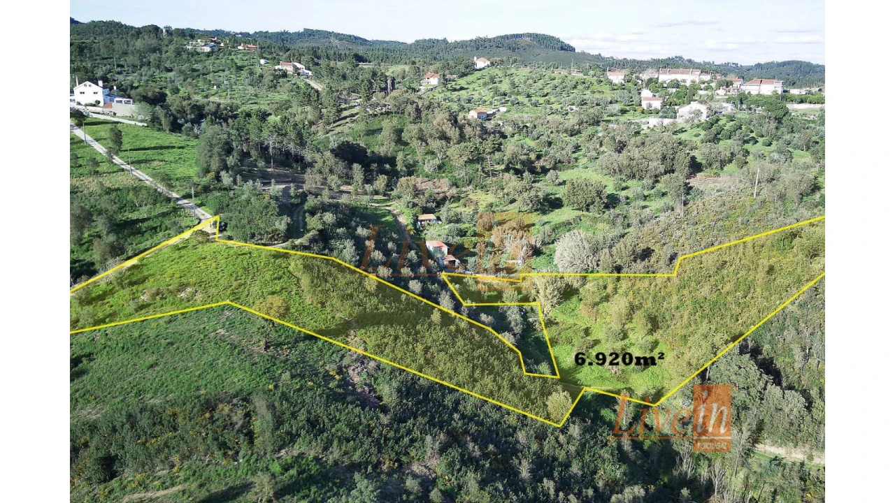 Terreno Agricola ou Rústico para Venda em Serra e Junceira Foto 3