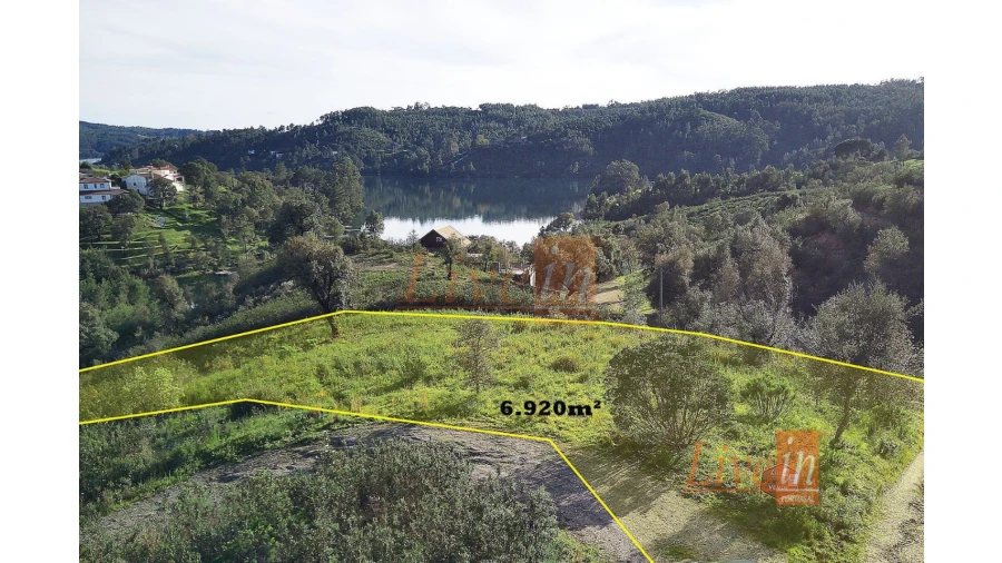 Terreno Agricola ou Rústico para Venda em Serra e Junceira Foto 2