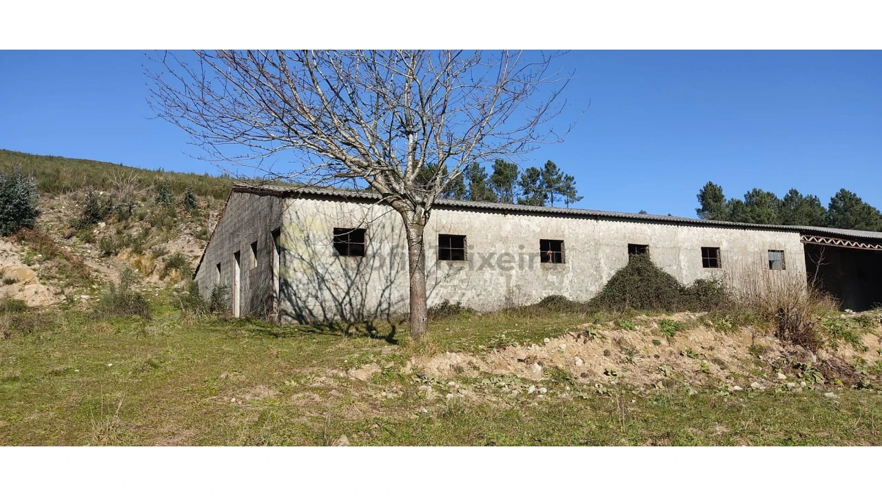 Quinta T2 para Venda em Gestaço Foto 13