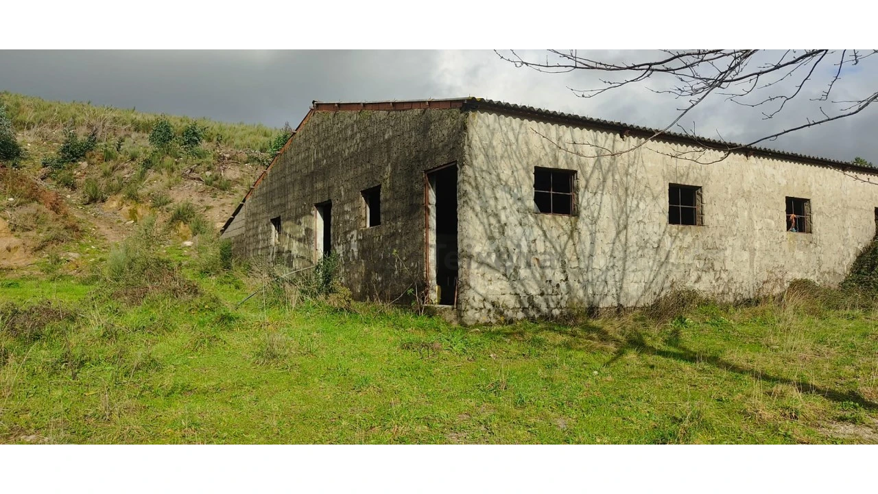 Quinta T2 para Venda em Gestaço Foto 15