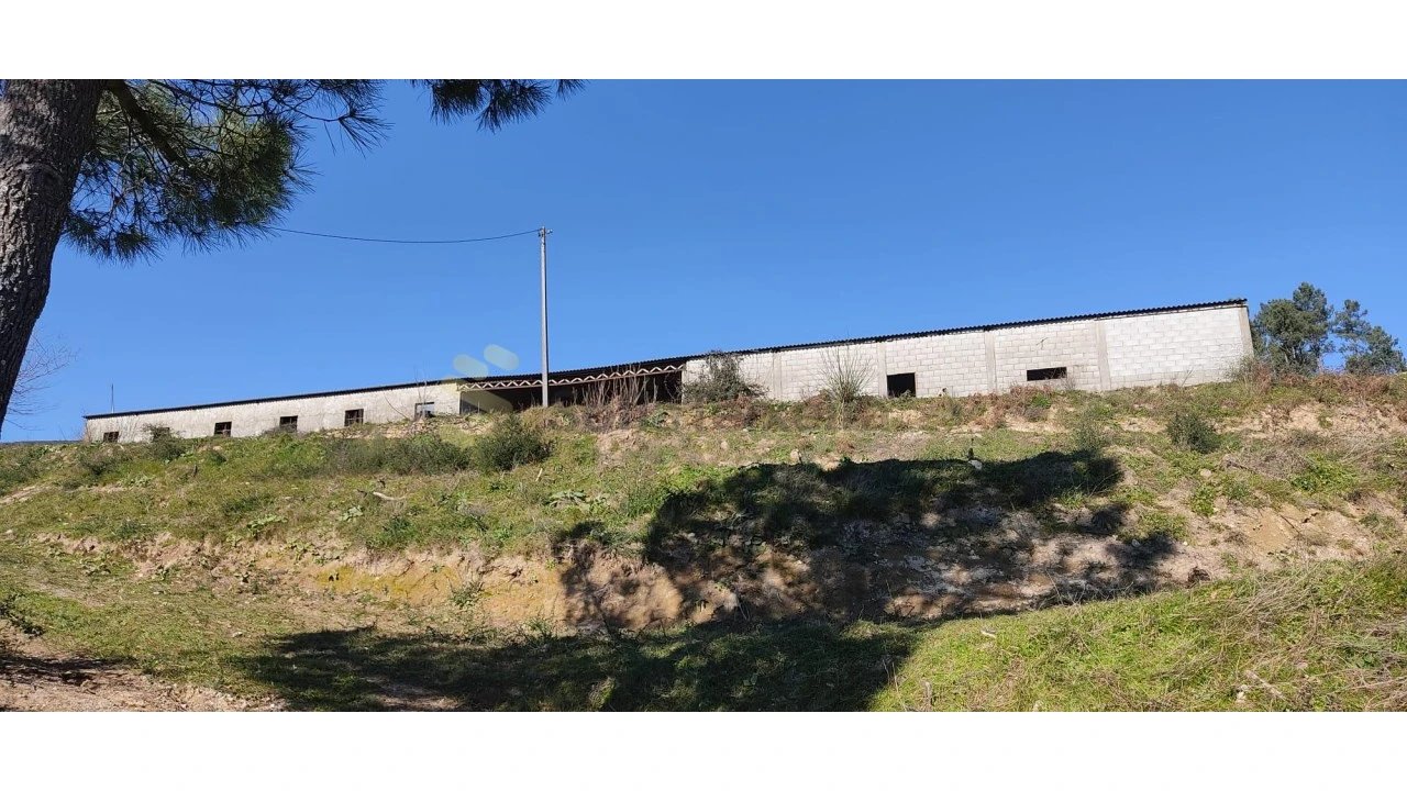 Quinta T2 para Venda em Gestaço Foto 16