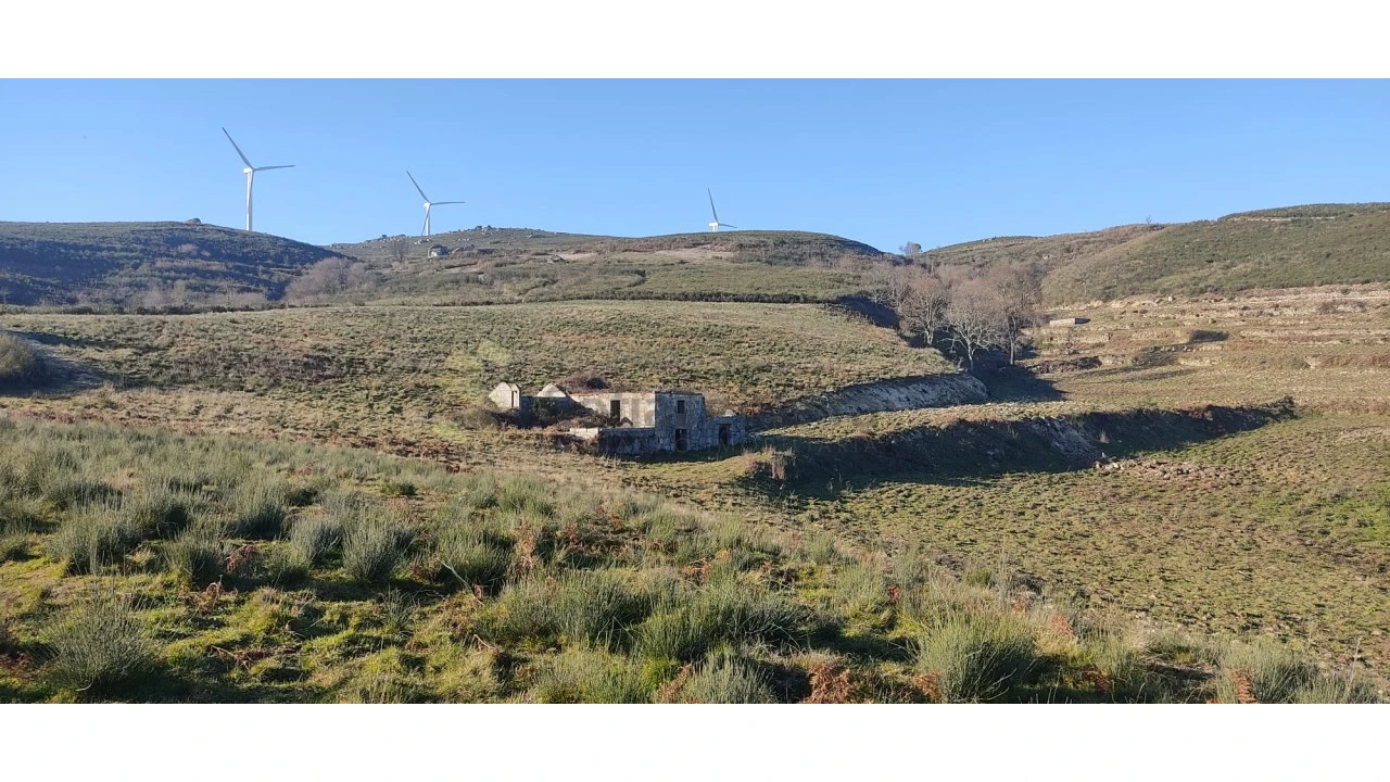 Quinta T2 para Venda em Gestaço Foto 17