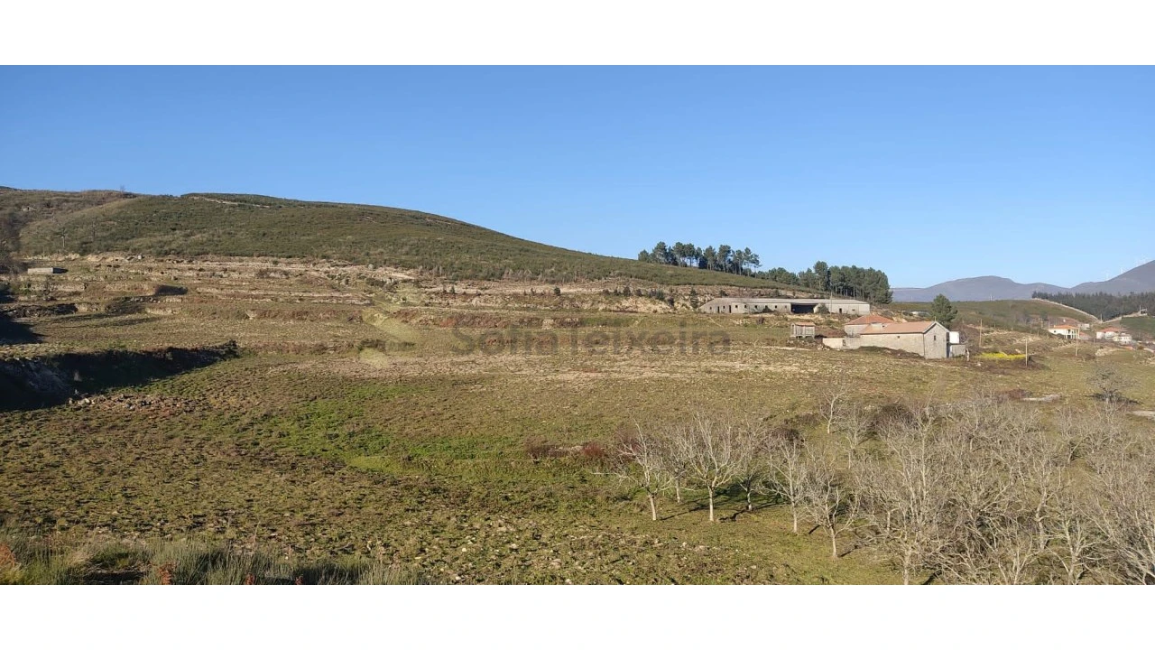 Quinta T2 para Venda em Gestaço Foto 18