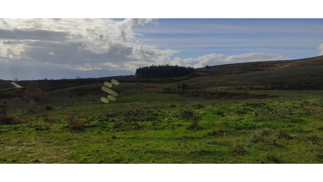 Quinta T2 para Venda em Gestaço Foto 19