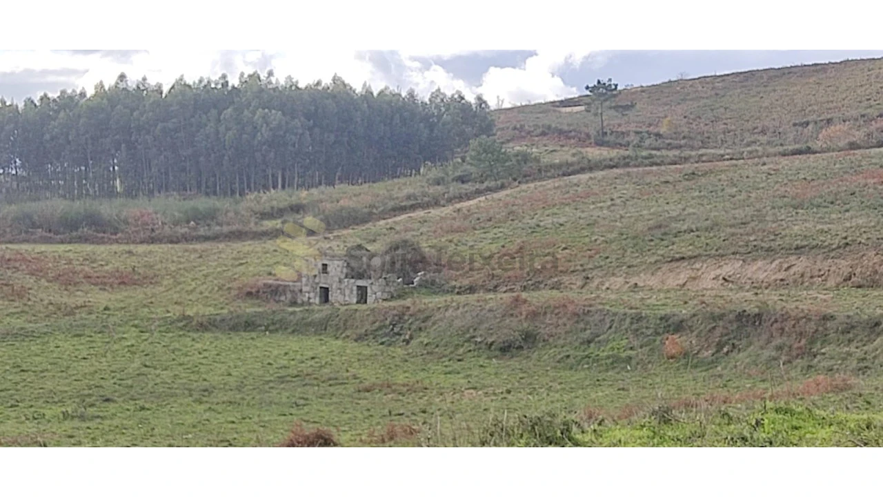 Quinta T2 para Venda em Gestaço Foto 20