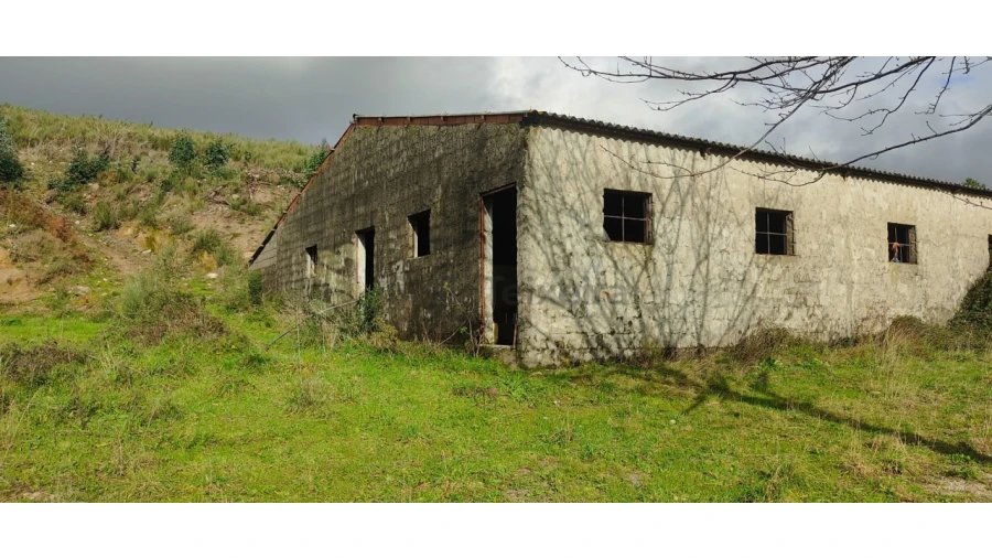 Quinta T2 para Venda em Gestaço Foto 15