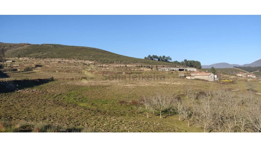 Quinta T2 para Venda em Gestaço Foto 18