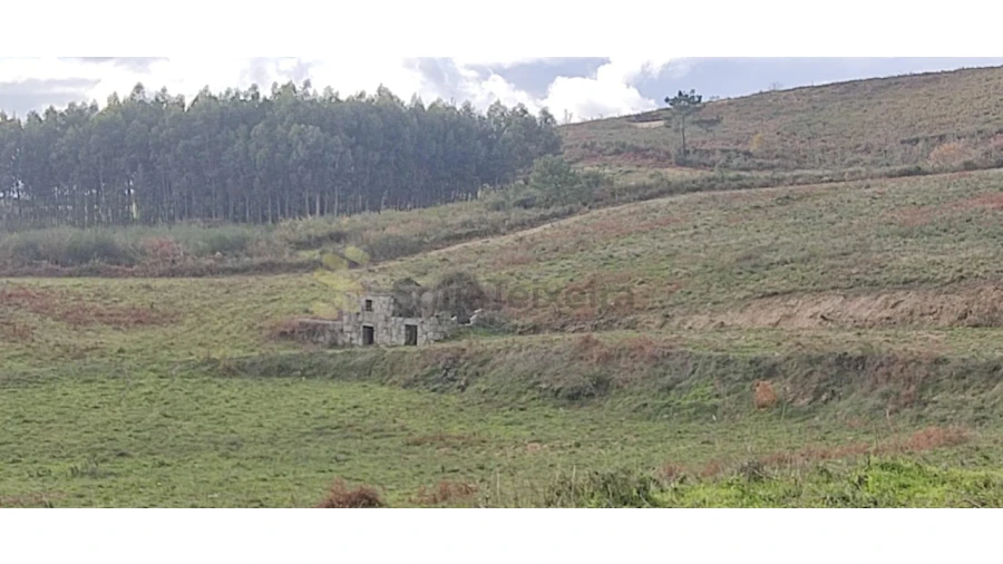 Quinta T2 para Venda em Gestaço Foto 20