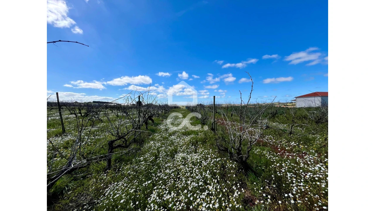 Terreno para Venda em Moita dos Ferreiros Foto 9