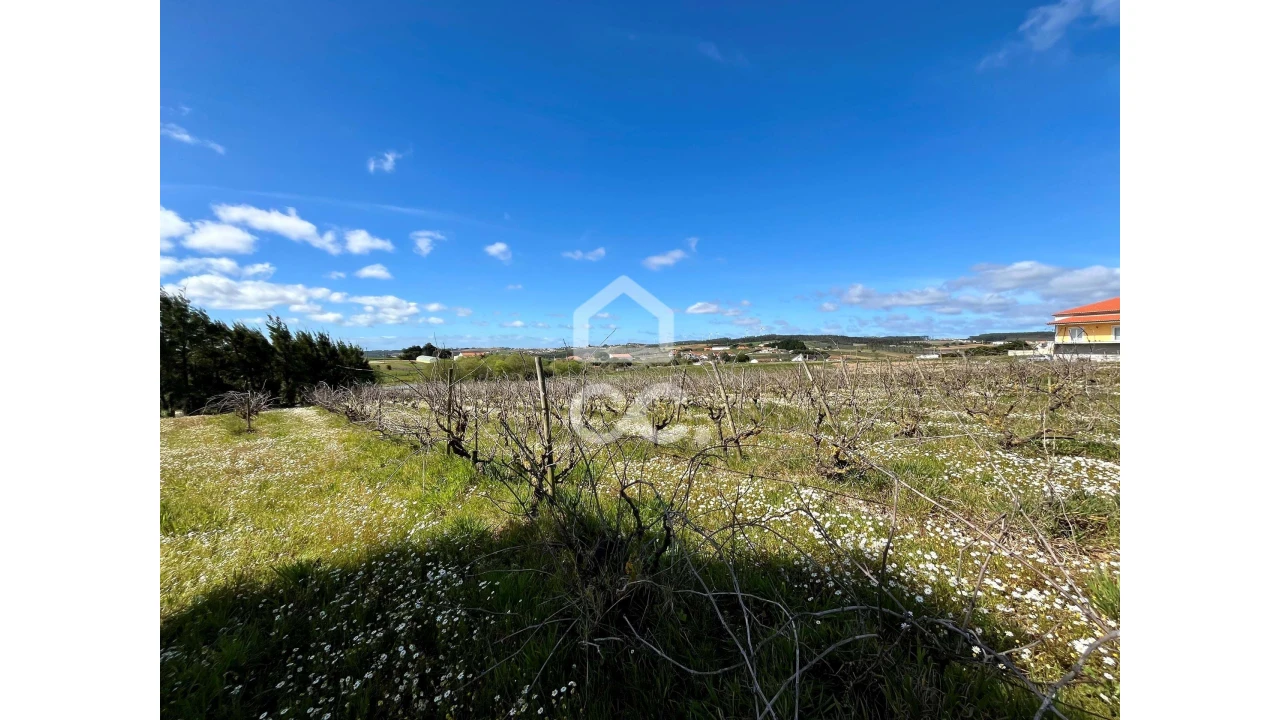 Terreno para Venda em Moita dos Ferreiros Foto 3